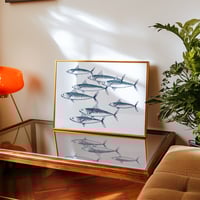 Image 1 of Les maquereaux