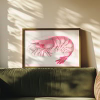 Image 2 of La crevette