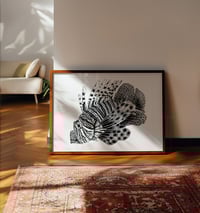 Image 2 of La rascasse