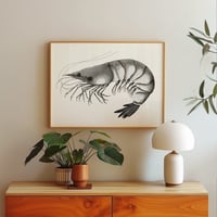 Image 1 of La crevette