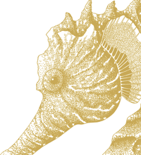 Image 3 of L'hippocampe