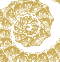 Image 4 of L'hippocampe