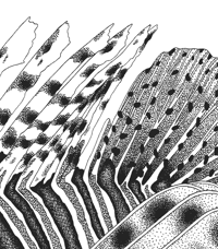 Image 4 of La rascasse