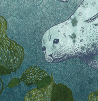 Image 3 of Les phoques