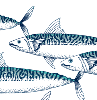 Image 2 of Les maquereaux