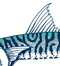 Image 3 of Les maquereaux