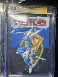 Image 1 of TMNT Ranger set