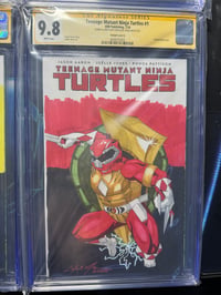 Image 2 of TMNT Ranger set