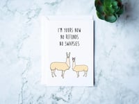 Llama Swapsies