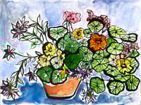 'Summer Pot on Blue'