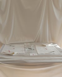 Image 4 of Fragile Hand Embroidered Hemstitch Napkins set of 4