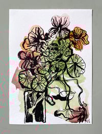 'August Nasturtiums iiii'