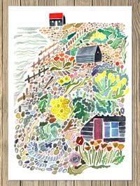 'Sea Kale and Shingle' Giclee Print