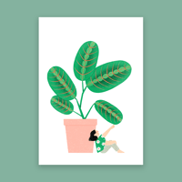 Image 2 of jolies plantes