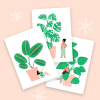 Image 1 of jolies plantes