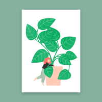 Image 4 of jolies plantes