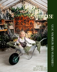 Magic Winter Greenhouse Christmas Mini 2025 Set