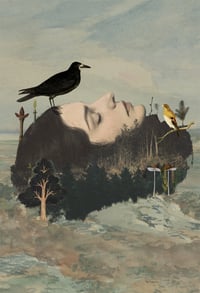 Image 1 of The Long Winter Sleep