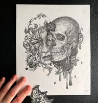 Image 1 of Saint Tomography