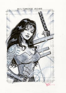 Image of  Original drawing, Absolute Wonder Woman  ink with gray tones