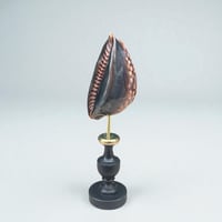 Image 5 of Coquillage Porcelaine Tigre sur socle en bois tourné noirci fin XIXe -  Cabinet de curiosités 