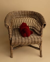 Image 3 of POPPY COLLECTION | PREORDER