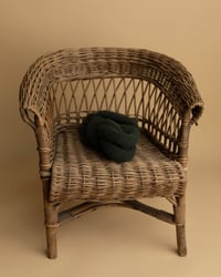 Image 3 of CEDAR COLLECTION | PREORDER