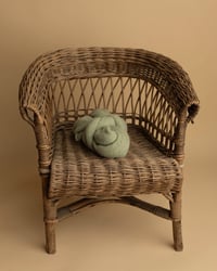 Image 2 of SPRINGBROOK COLLECTION | PREORDER 