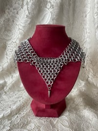 Image 1 of Aluminum Jester Collar