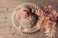 Image 3 of Sessel Teo