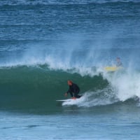 Image 5 of Maluku Genie White