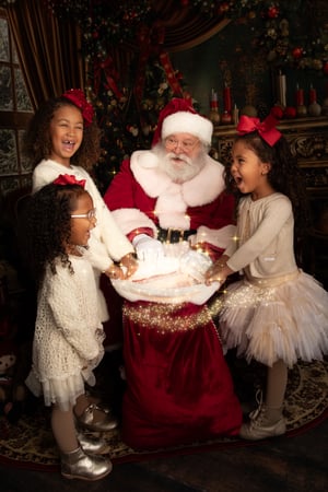 Image of Santa Experience in an Elegant Christmas Living Room - 11/2