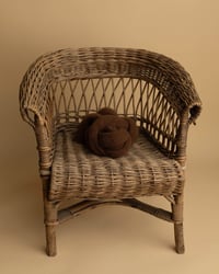 Image 3 of ROASTED COLLECTION | PREORDER