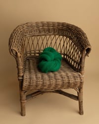 Image 1 of BIG CREEK COLLECTION | PREORDER