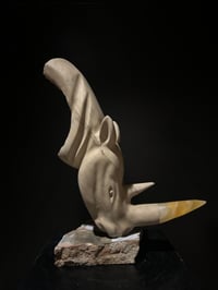 Image 2 of CERATOTHERIUM