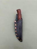 Image 3 of EDC with walnut handle