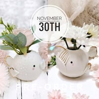 PRE-ORDER Kate #228 November 30th.