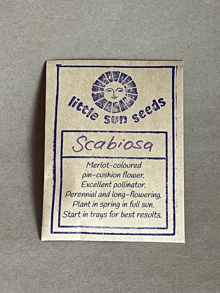 Scabiosa