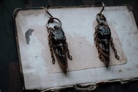 Image 3 of Copper Raven Skull ear hangers