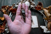 Image 4 of Copper Raven Skull ear hangers