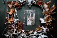 Image 2 of Flight of the Witch etched brass earrings