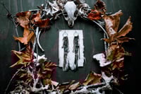 Image 2 of Braids of a Feather earrings