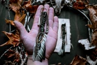 Image 5 of Braids of a Feather earrings