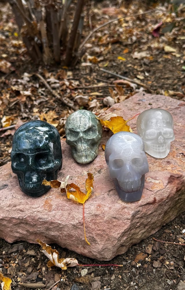 Image of Ward/Host Crystal Skulls