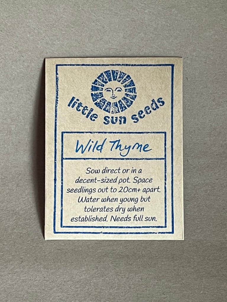 Wild Thyme Image 4