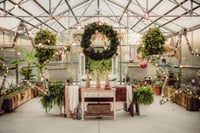 Image 4 of  Christmas Green house Nov 16th