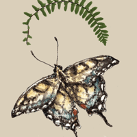 bundle for meghan <3