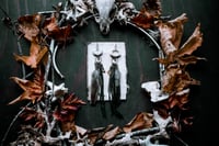 Image 1 of Bone and Fringe assemblage earrings