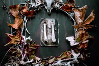 Image 2 of Leg Bone ear hangers