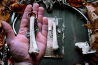 Image 5 of Leg Bone ear hangers